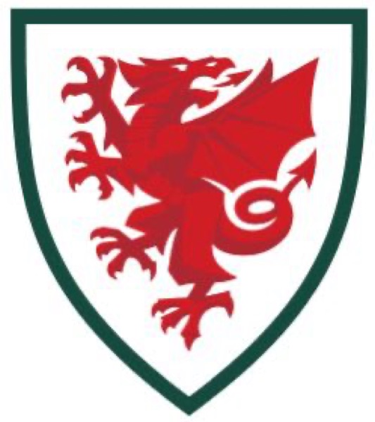 Football Association of Wales